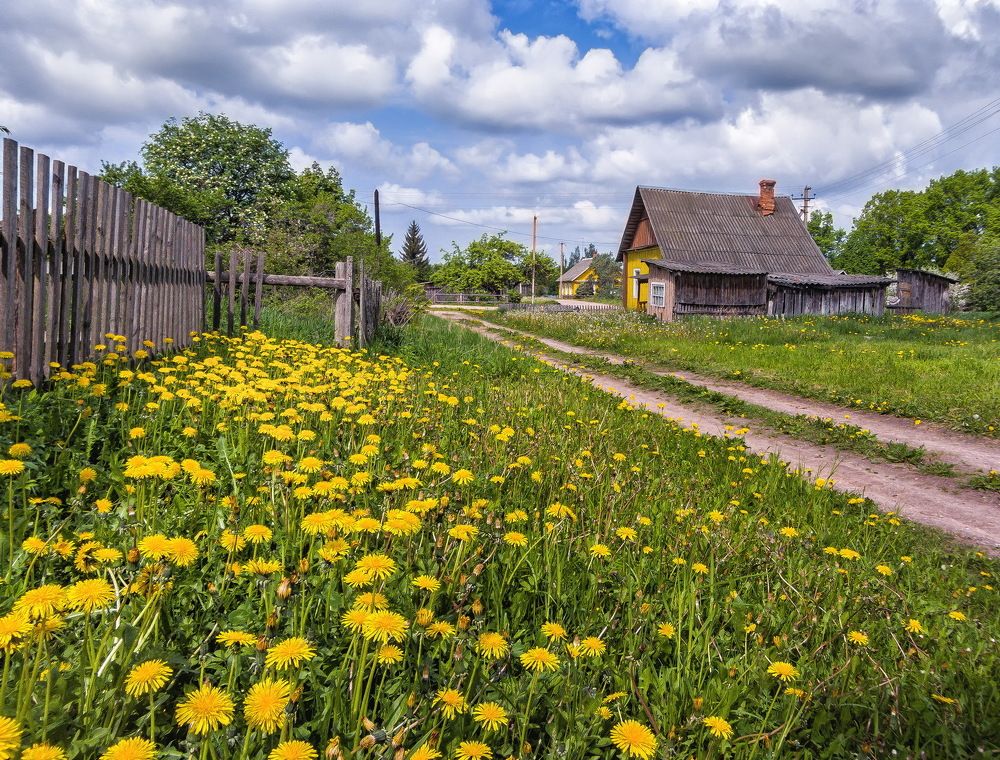 Photograph by Александр Авдушев