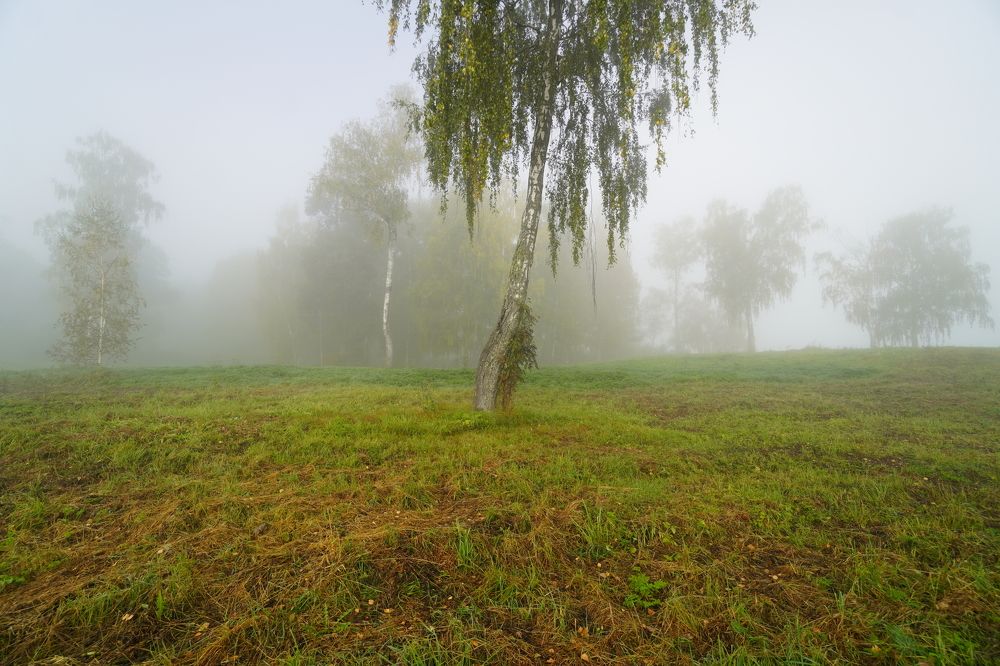 Фотография автора Сергей