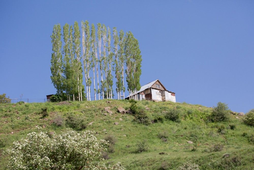 Photograph by Наталья Снеговая