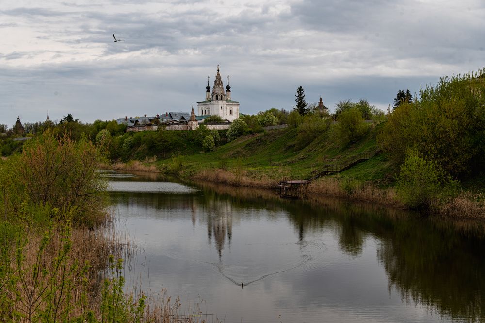 Photograph by Adler Roman