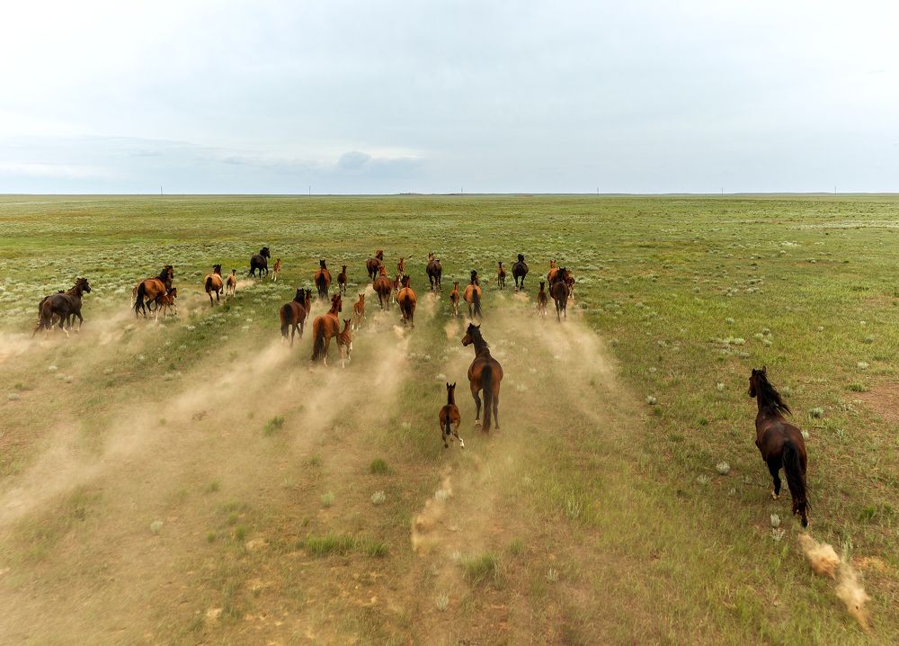 Photograph by Igor Yurkin