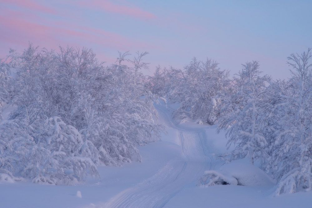 Дорога в снежное царство.