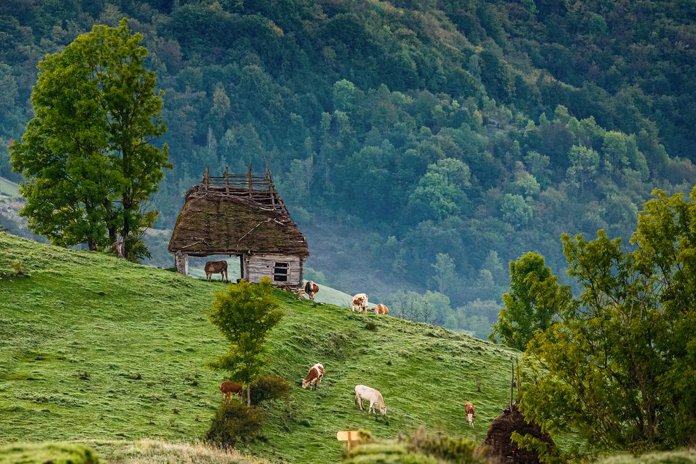 Photograph by levi bagy