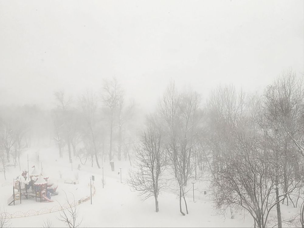 Photograph by Анна Липоткина