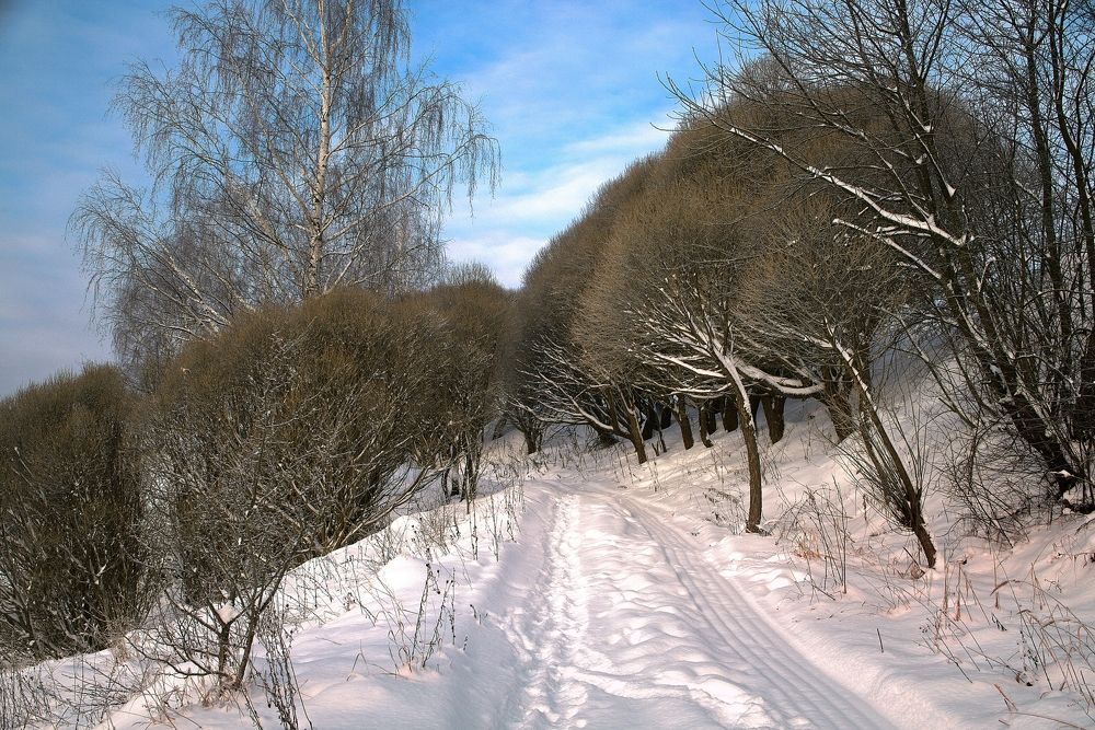 Photograph by Николай Круглов