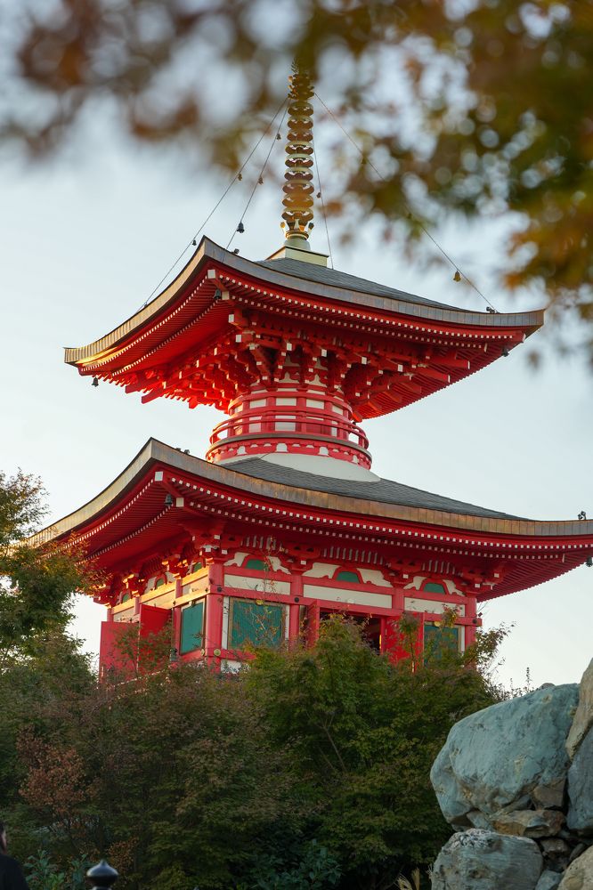 Фотография автора Елена Букия