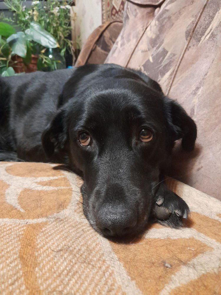 Фотография автора Владислава Андрюнина