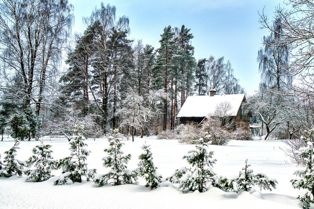 Photograph by Janis Serdienis