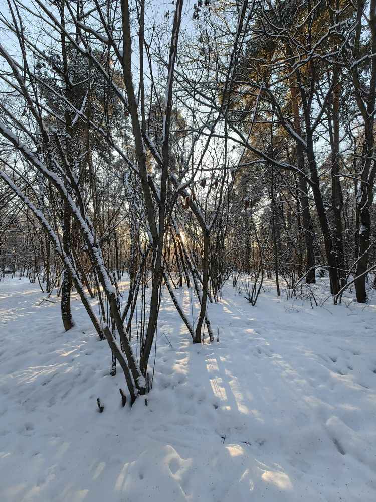 Photograph by Nikolai T