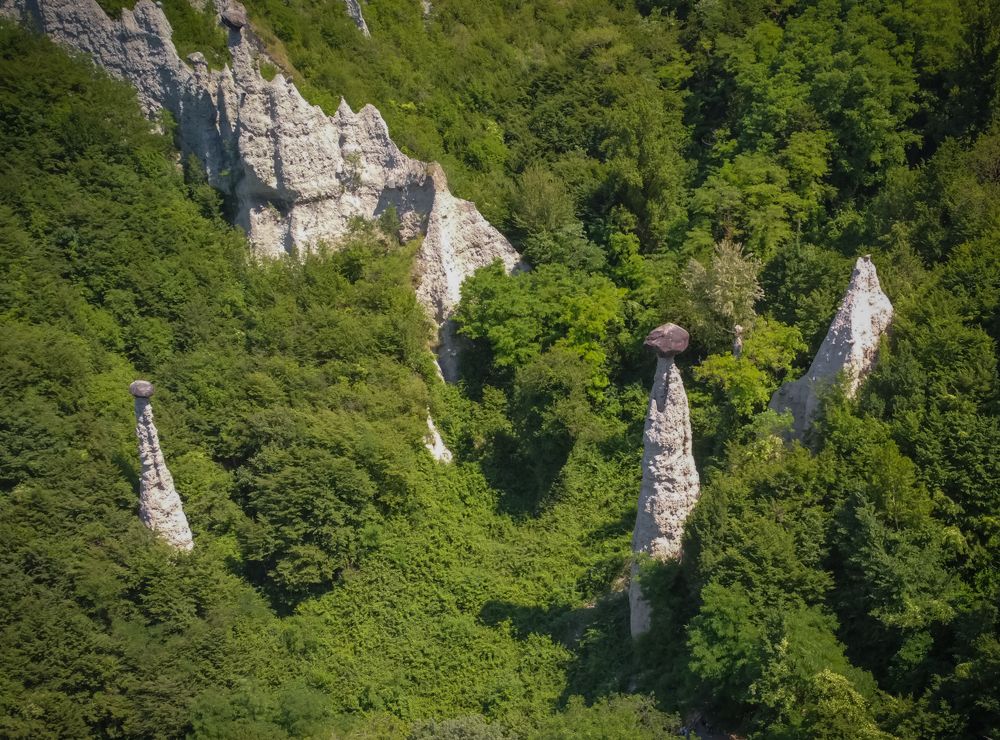 Photograph by Дария Максимова