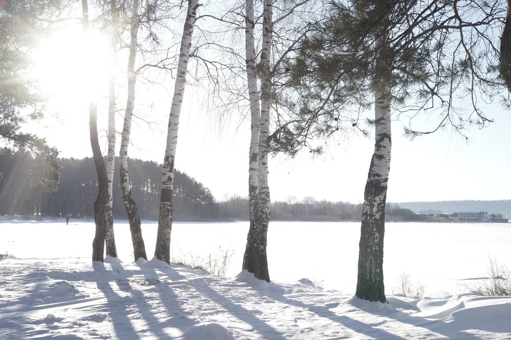 Photograph by Ирина Гусева