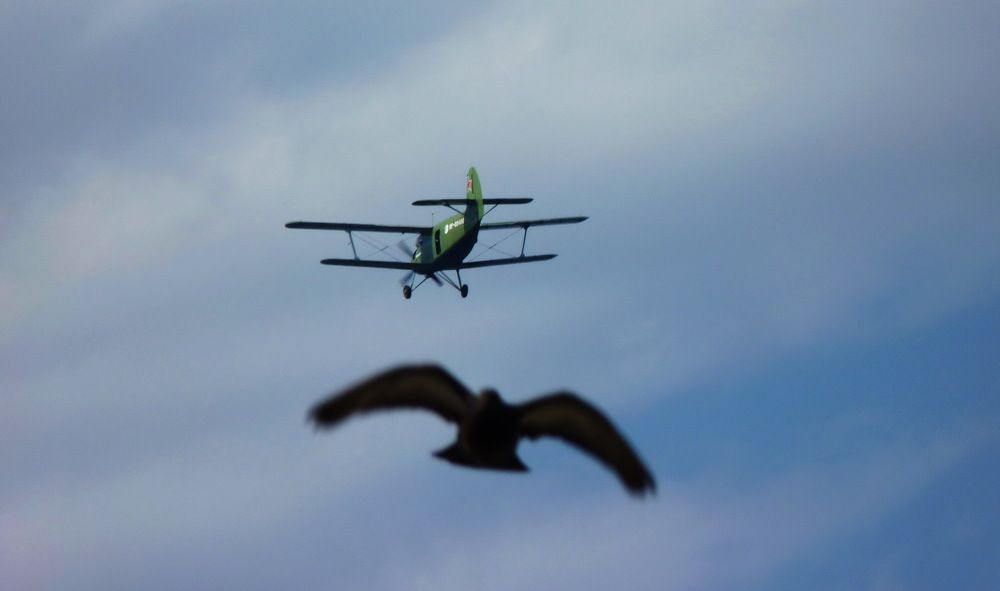 Photograph by Galina Leskova