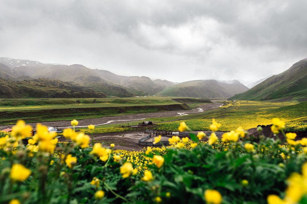 Photograph by Андрей