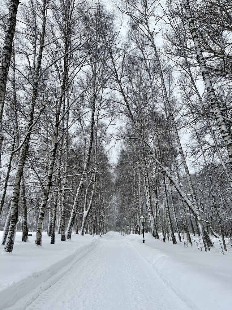 Photograph by Анна Лепихина