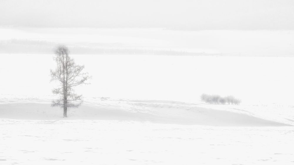 Photograph by Юлия Зубкова