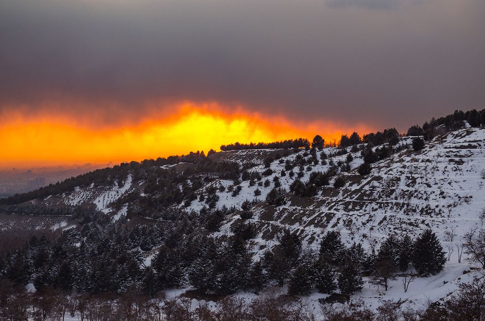 Photograph by Sahar Jafari