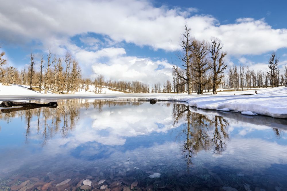 Photograph by Noureddine Belfethi