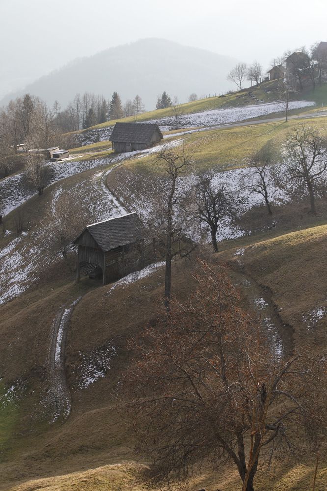 Photograph by Ольга Одаренко