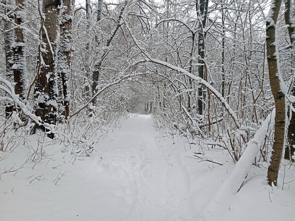 Photograph by Александр Гришин