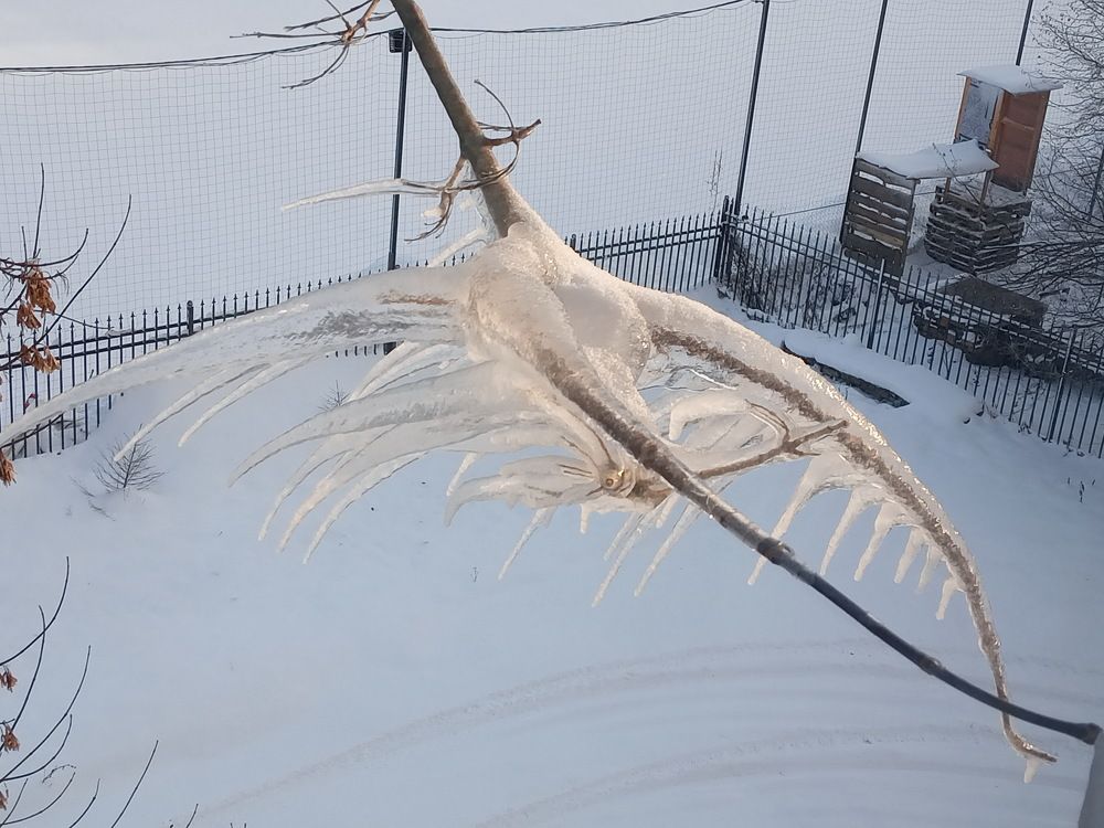 Photograph by Александр Гришин