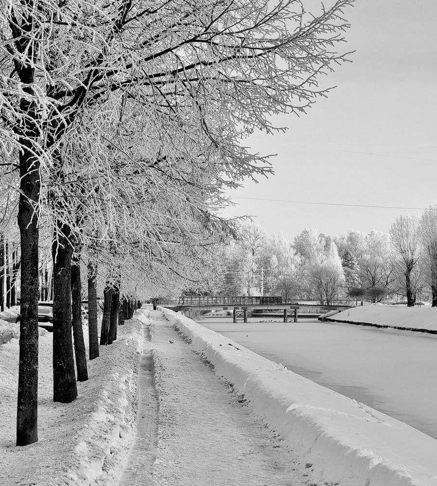 White winter