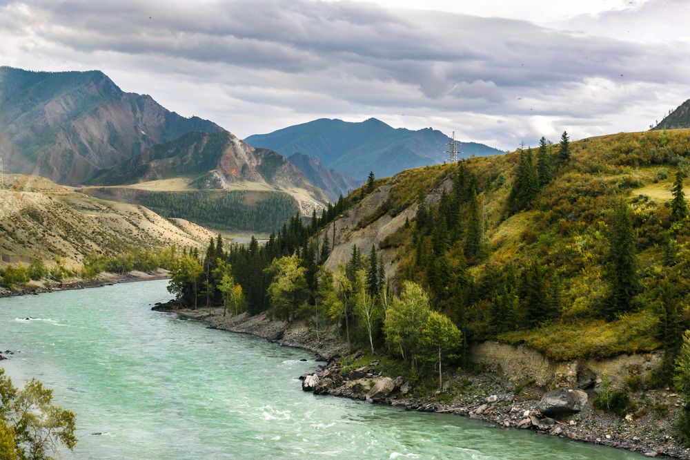 Фотография автора Мария Рохмистрова