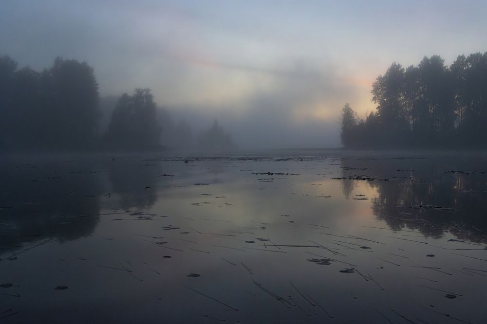 Photograph by Светлана Холодняк