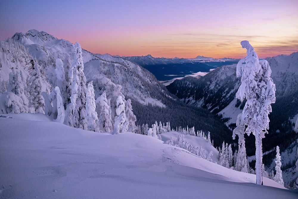 Photograph by Marina Poushkina