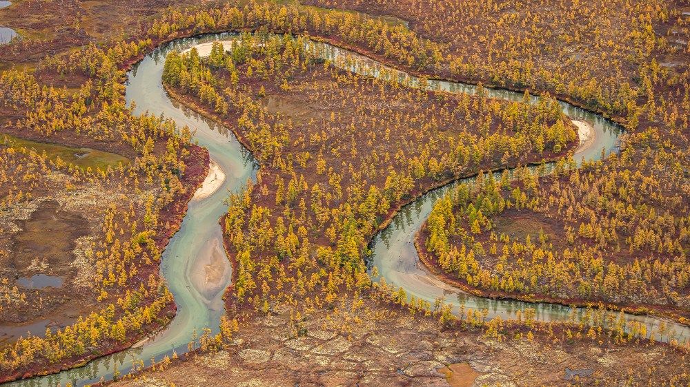 Фотография автора Александр Довганюк