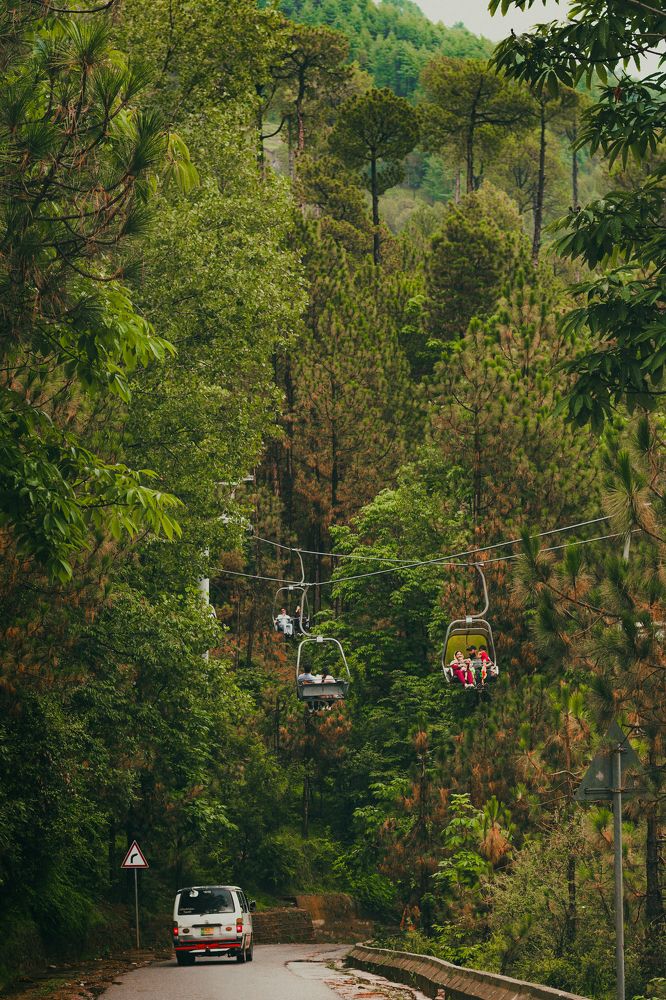 Chair Lift between Pine trees