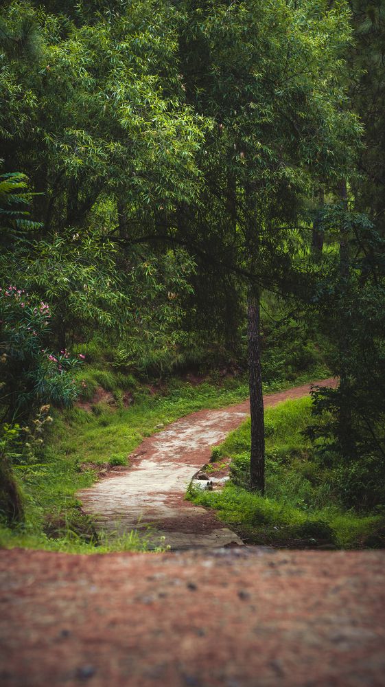 Фотография автора Abdullah