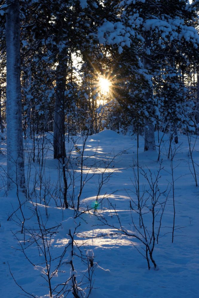 Photograph by Ирина Левакова