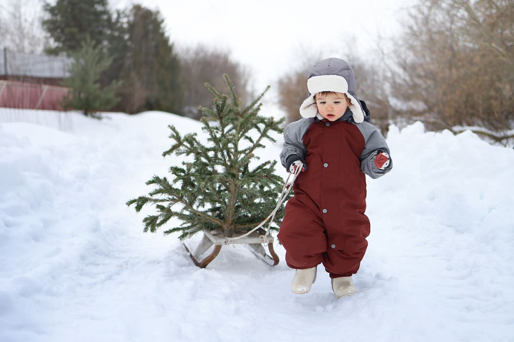 Фотография автора Екатерина Рядчикова