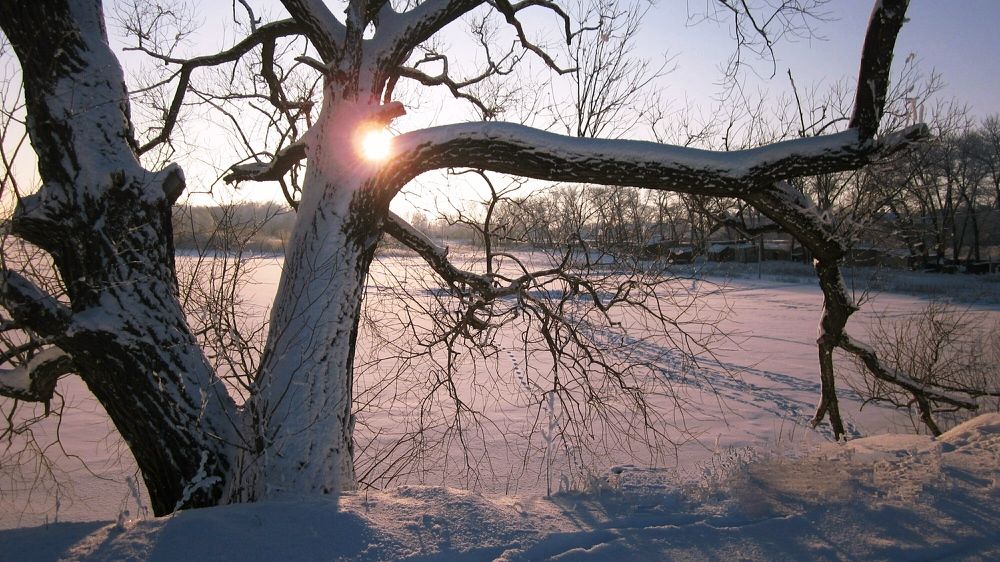 Photograph by Елена Процек