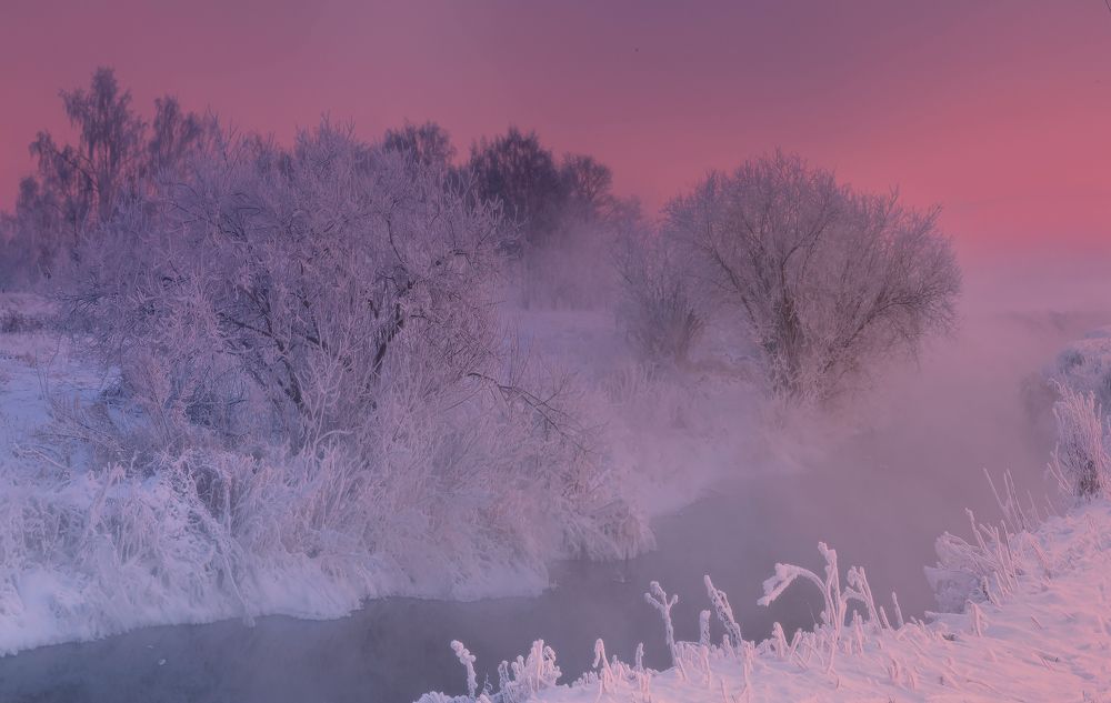 Photograph by Щепотина Татьяна