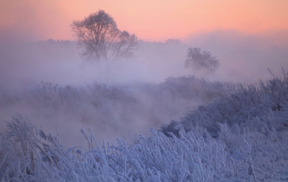 Photograph by Щепотина Татьяна