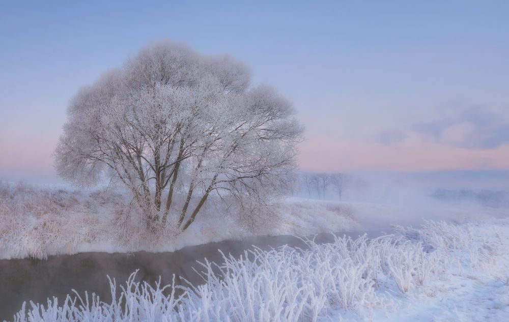 Photograph by Щепотина Татьяна