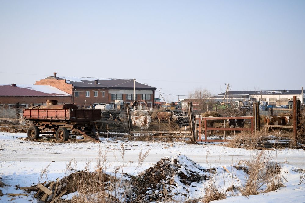 Photograph by MobigrafVDK