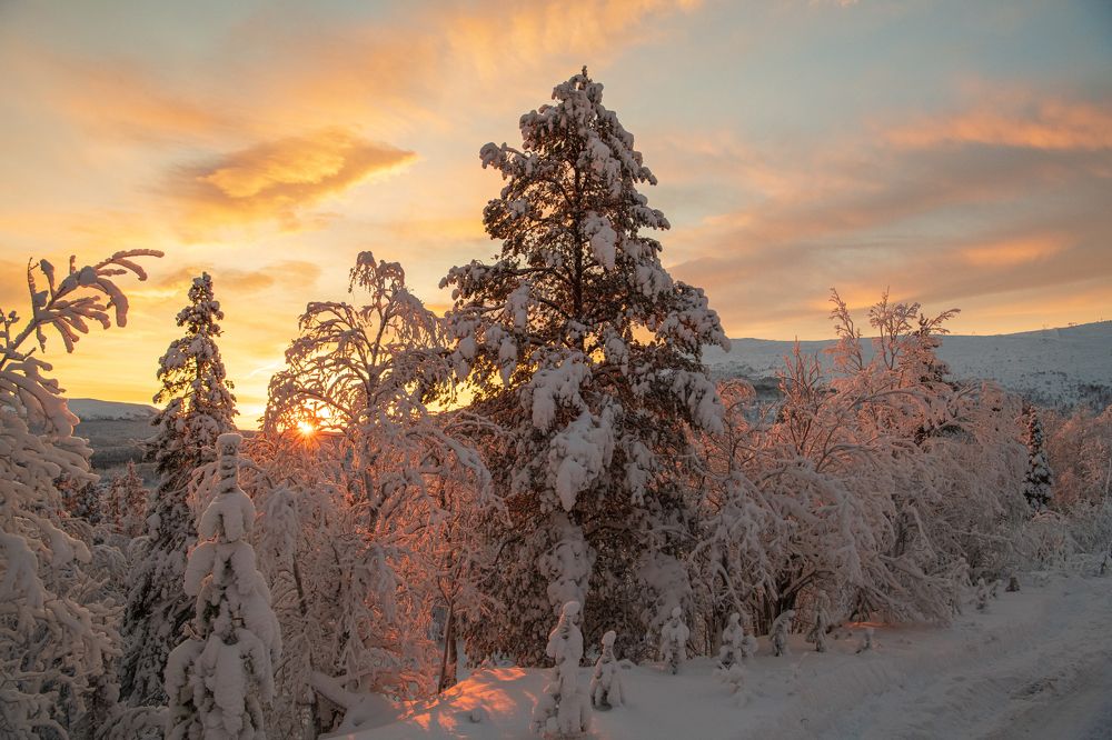 Photograph by Юрий Платухин