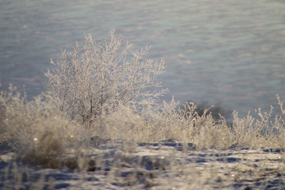 Photograph by Юлия Щетинина