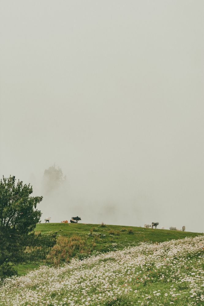 Фотография автора ABDULLAH -