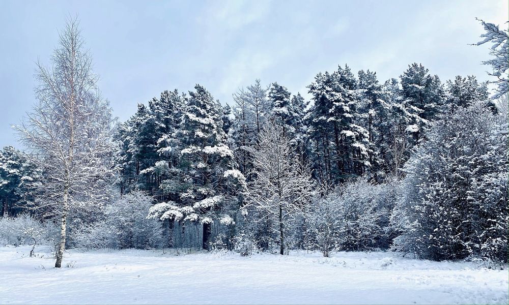 Photograph by Ольга Пилиповец