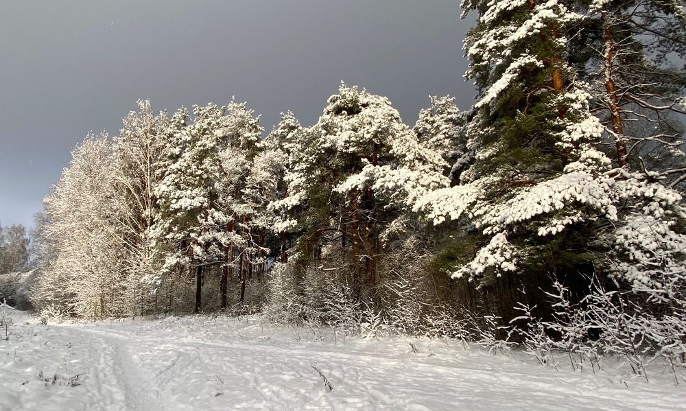 Photograph by Ольга Пилиповец