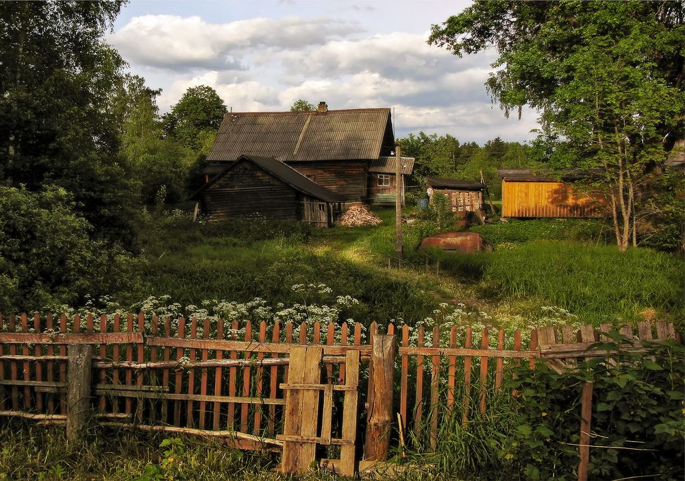 Photograph by Щепотина Татьяна