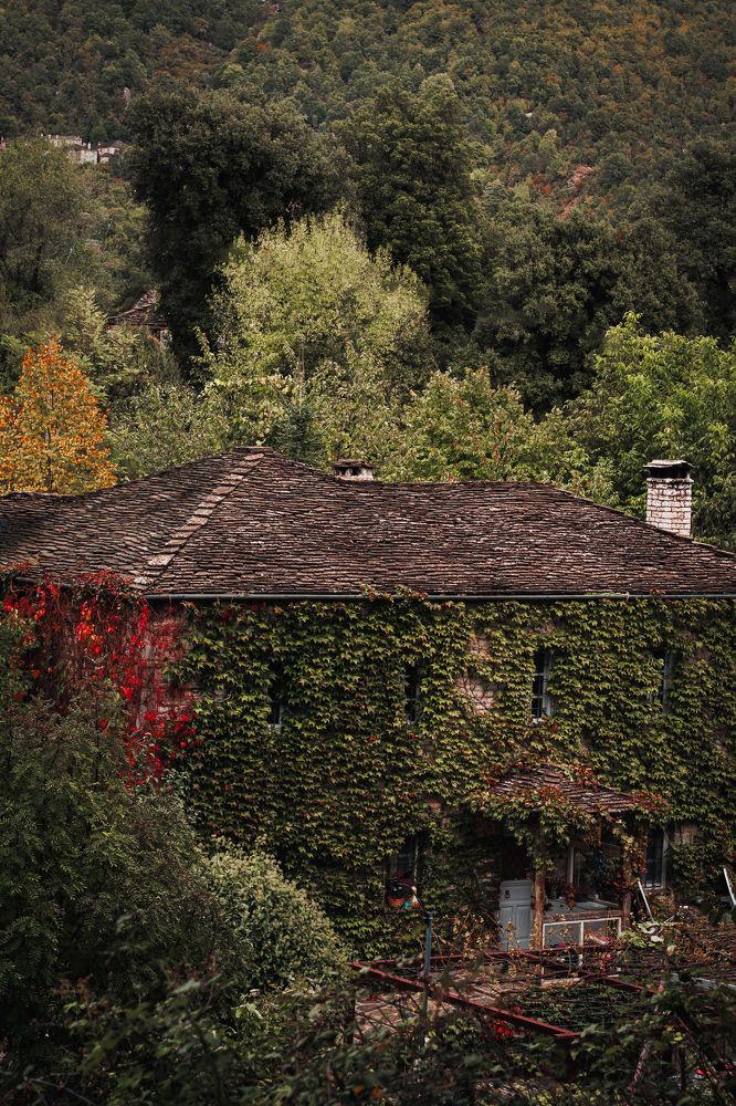 Фотография автора Vasilhs kolios