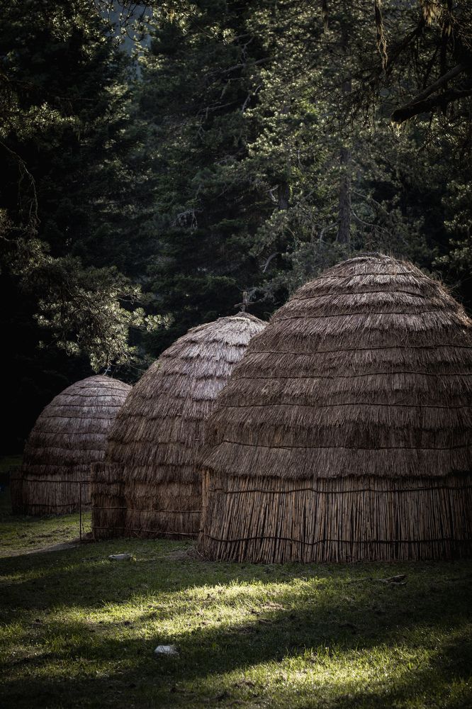 Фотография автора Vasilhs kolios