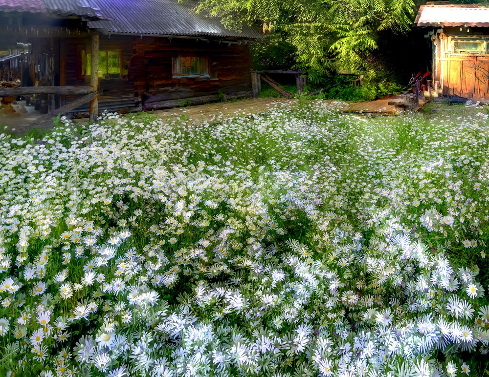 Photograph by Сергей Галёса