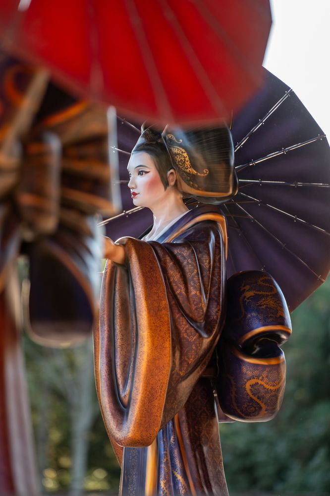 Фотография автора Елена Букия