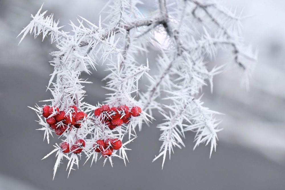 Photograph by Marina Poushkina