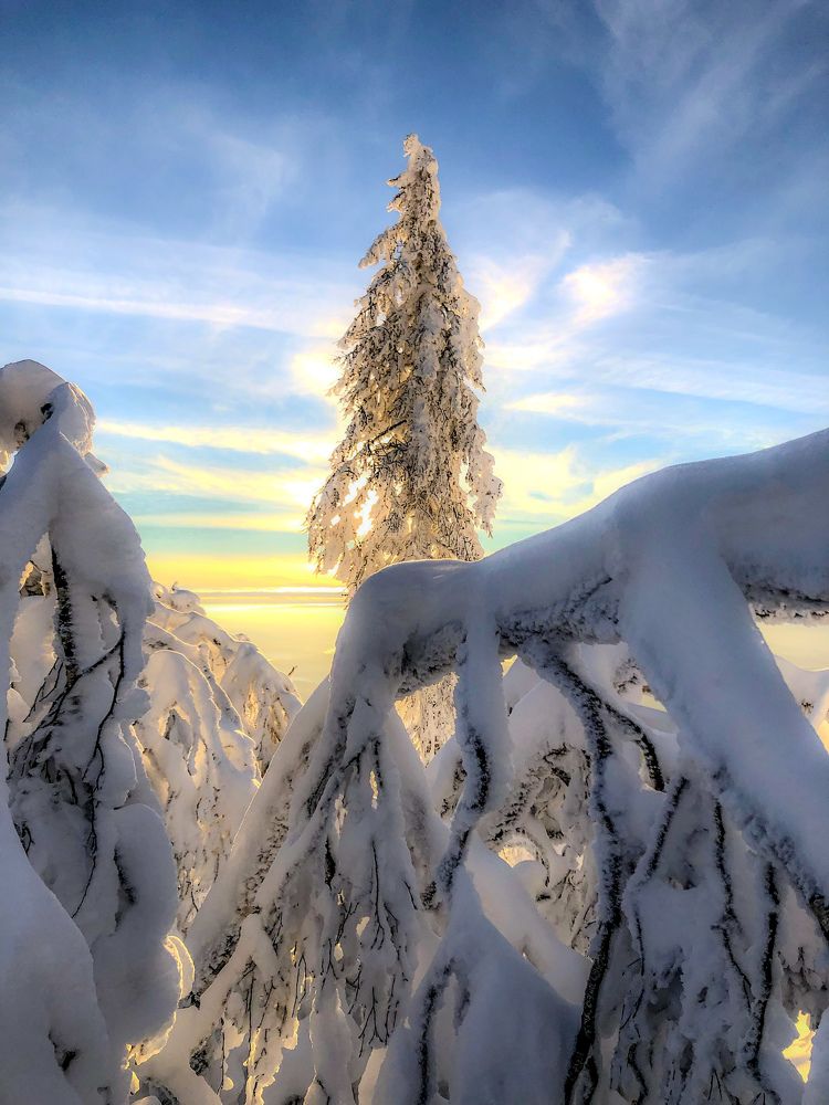 Photograph by Андрей Фадеев